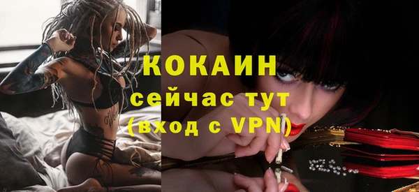 бошки Новодвинск