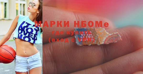 бошки Новодвинск