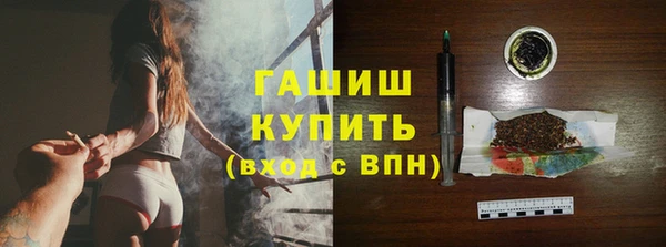 шишки Няндома