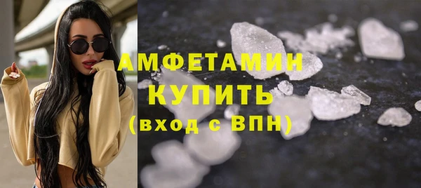 прущие крисы Новозыбков