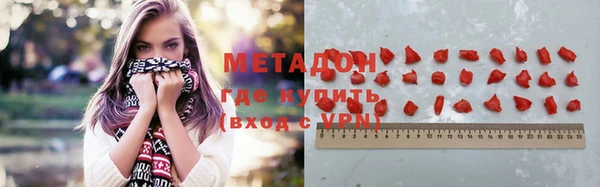 шишки Няндома