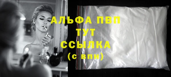 шишки Няндома