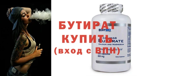 шишки Няндома