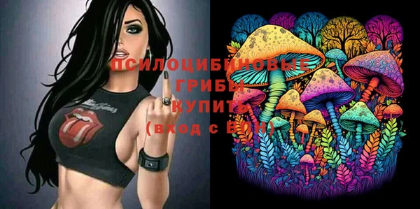 прущие крисы Новозыбков