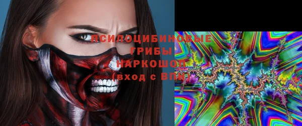 шишки Няндома