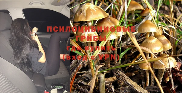 молекула духа Новокубанск
