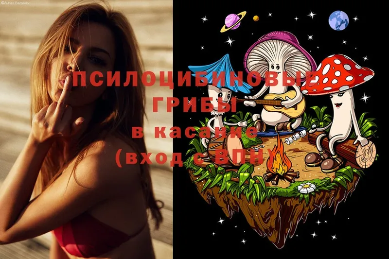 Псилоцибиновые грибы MAGIC MUSHROOMS  где найти   omg ONION  Бежецк 