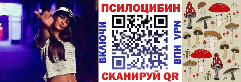 Галлюциногенные грибы Psilocybe Бежецк